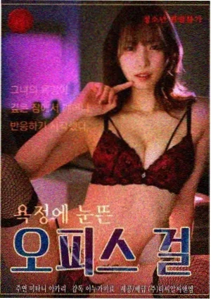 格子间故事 电视剧 2022 情感职场