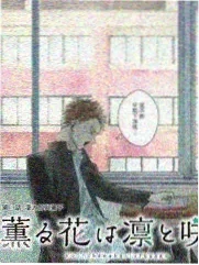办公室达人